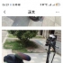 出售迅速折叠电动自行车，